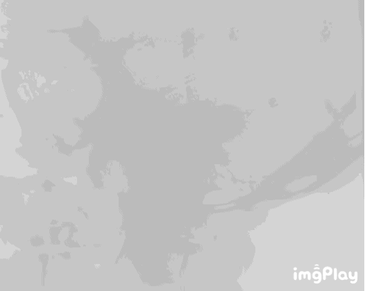 1.GIF